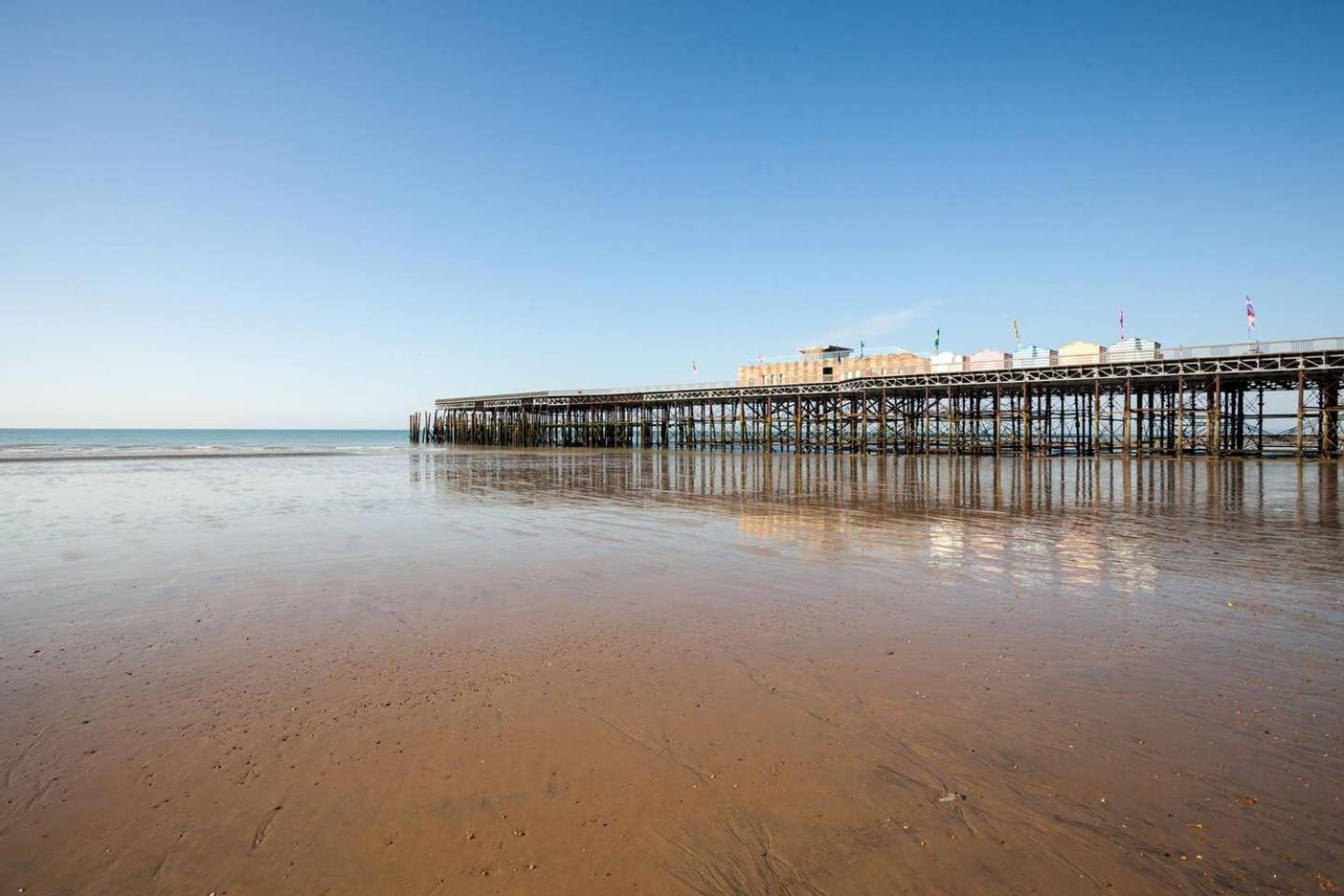The Seagulls Nest - Hastings Daire Dış mekan fotoğraf